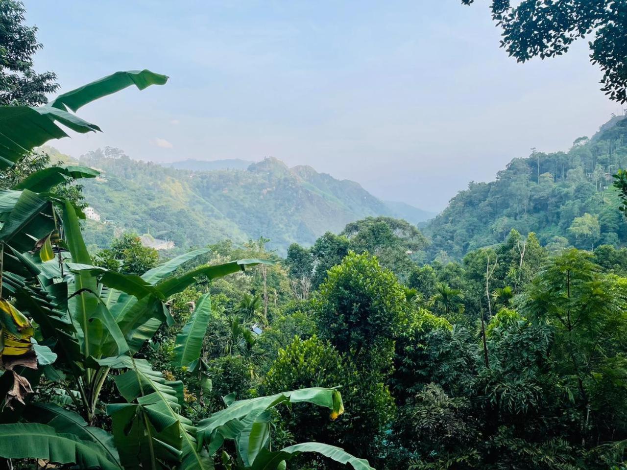 Mid Scenery Home Stay Ella Exterior foto